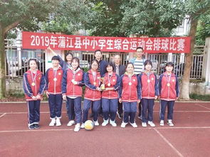 2019年蒲江縣中小學生綜合運動會排球比賽圓滿結束