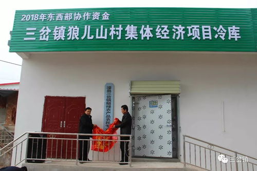 漳縣三岔鎮(zhèn)順祿農(nóng)產(chǎn)品農(nóng)民專(zhuān)業(yè)合作進(jìn)行揭牌暨狼兒山村集體經(jīng)濟(jì)項(xiàng)目冷庫(kù)啟用儀式