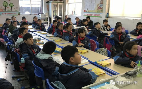 民主路小學數學組結合學生年齡特點分年級自主開發設計并實施多樣拓展性課程